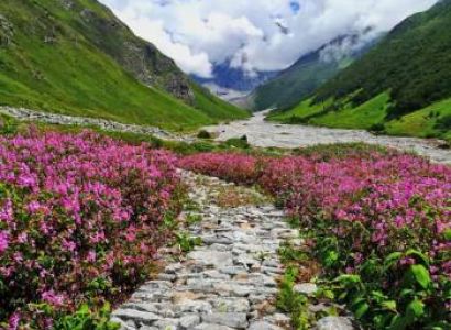 Valley Of Flowers Without Gorson Top Trek 7 Days