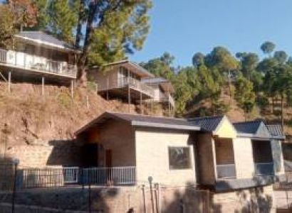 1 Night 2 Days Kasauli Yoga Squad Image