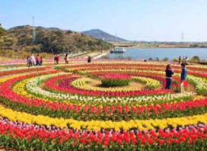 6 Night 7 Days Jammu to Jammu