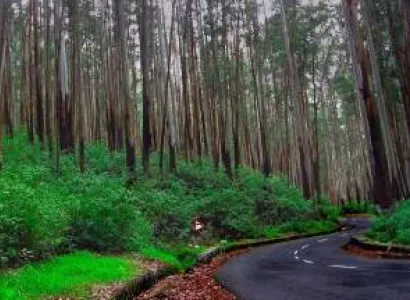 Kodaikanal - Ooty - Coonoor Tour Package 3 Night 4 Days