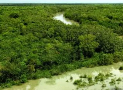 West Bengal Tour Package 8 Night - 9 Days