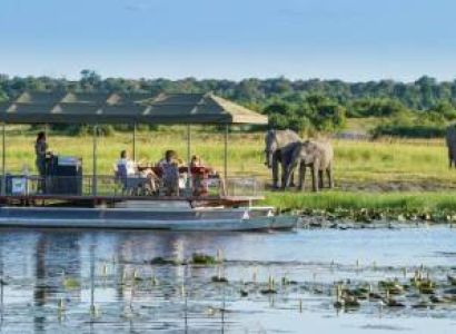 Chobe Day Trip