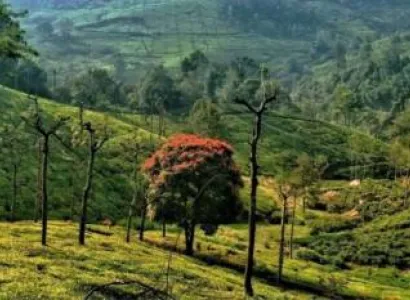 2 Night - 3 Days Ooty Tour Package