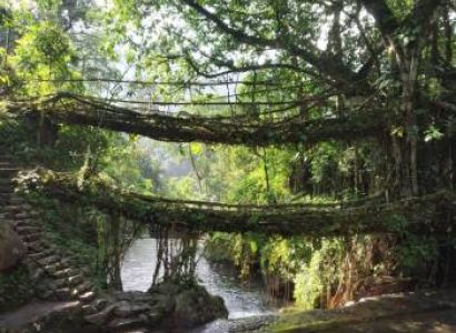 2 Night - 3 Days Cherrapunji Tour Package