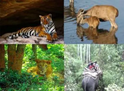 2 Night - 3 Days Lakhimpur Kheri Tour Package