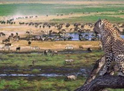 3 Days Tanzania Adventure Safaris Tour