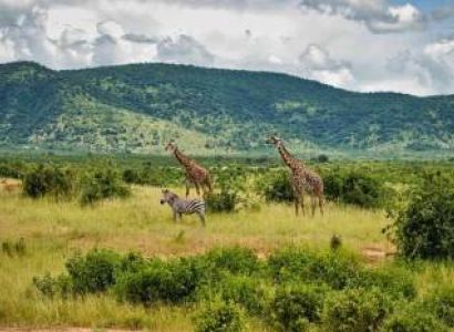 7 Days Tanzania Safari Package