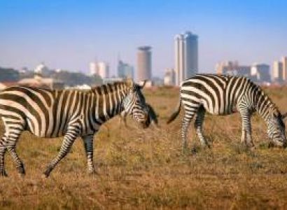 7Nights Kenya - Serena Safaris Tour
