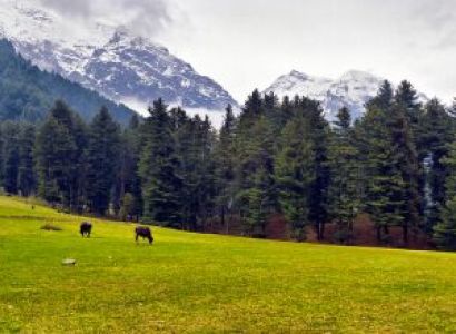 3N 4D Srinagar to Gulmarg Pahalgam Sonamarg Achabal and Verinag Lolab Valley Bangus Valley Trip