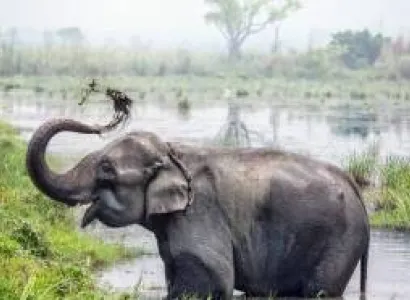 8N 9D Lumbini - Pokhara - Kathmandu - Nagarkot - Janakpur - Chitwan Tour