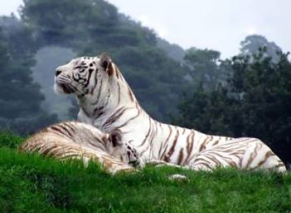 2 Night - 3 Days Coimbatore Tour Package