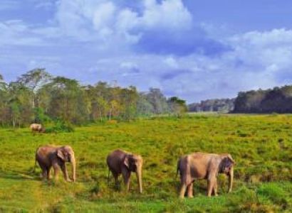 9N 10D Kathmandu - Chitwan - Lumbini - Pokhara - Nagarkot Tour