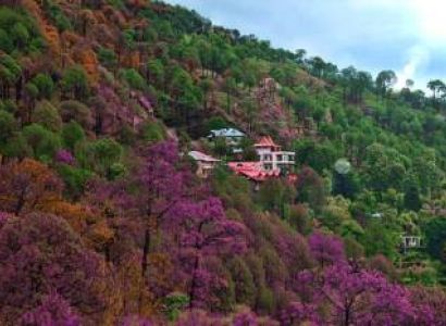 Kasauli Tour Package 2 Night - 3 Days Image