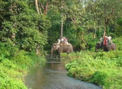 Dooars 4N 5D Plan - Lataguri - Jaldapara Tour