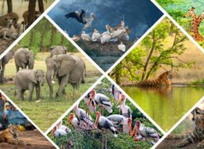 Rajasthan Wildlife Adventure 7N - 8D Tour