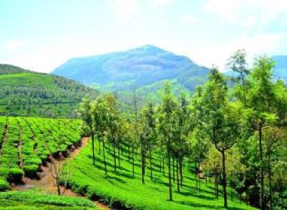 10N 11D Kerala Tour Package