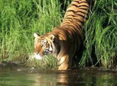 Sundarban Tour Package