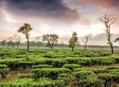 3 Night 4 Day Hill Top Darjeeling Package