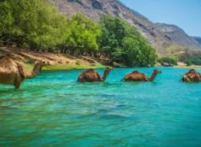 3N 4D Salalah New Year Holidays Tour
