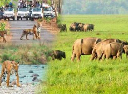 Relax - Rejuvenate 4 Nights Tour