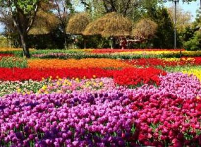 8 Nights 9 Days Kashmir Tour