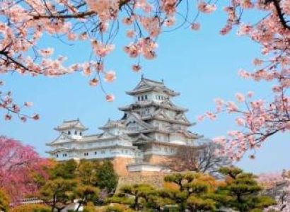 China With Japan Cherry Blossom - Tokyo - Beijing Tour
