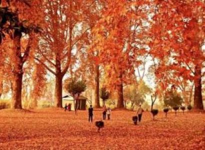3N 4D Kashmir Autumn Carnival Tour