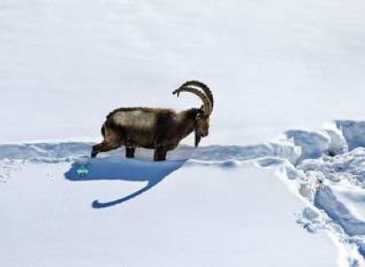 8 Nights - 9 Days Shimla - Manali - Dharamshala - Dalhousie Package