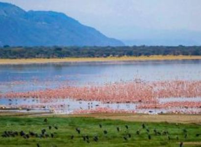 6Days Tanzania Safari - Tarangire - Serengeti - Ngorongoro - Lake Manyara Tour