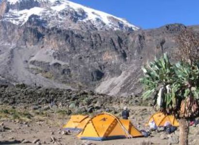 8 Days Kilimanjaro Trekking Northern Circuit Route Tour