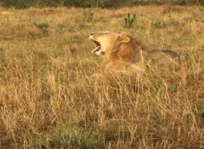 7 Night - 8 Days Kenya Tour Package