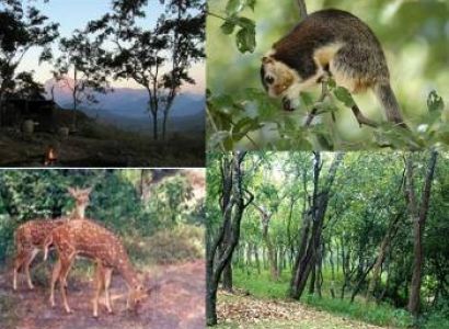 3N 4D Chinnar Wildlife Sanctuary Package