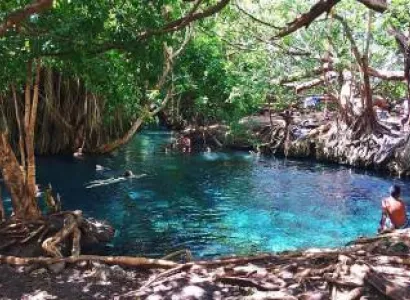 One Day Kikuletwa Hot Springs Package