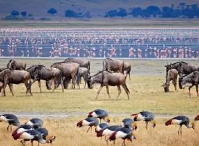3 Days 2 Nights Comfort Safari Manyara And Ngorongoro Tour