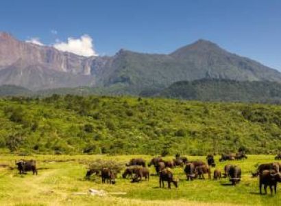 5 Night - 6 Days Tanzania Highlights Safaris Tour