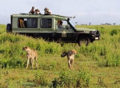 14 Nights - 15 Days Best Of Southern And Northern Tanzania Safari Tour
