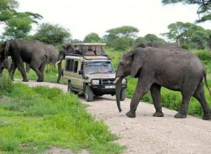 4 Nights Arusha - Tarangire Np - Serengeti Np - Ngorongoro Crater Tour