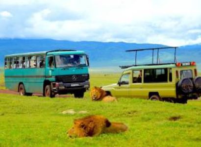 4D Safaris To Serengeti-Ngorongoro-Tarangire-Nyerere National Parks Tour