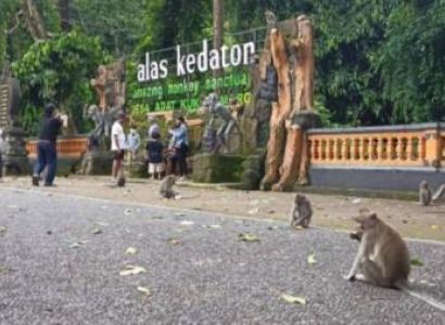 Bali - Nusa Penida : with  Love in Nusa Penida   Package 7 Days 6 Nights