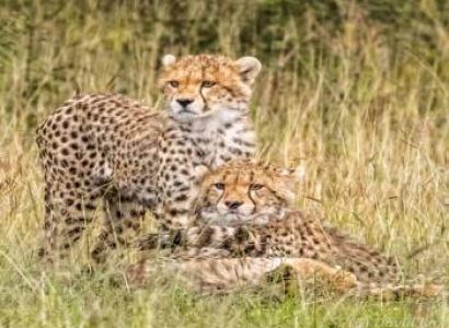 3-Day Serengeti from the Sky