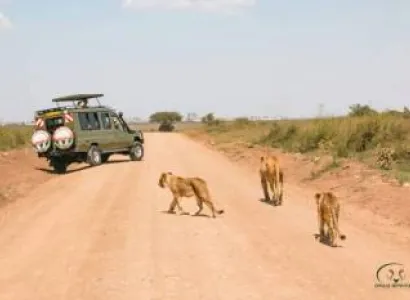 12Day Golden Memories Of Kenya And Tanzania Tour