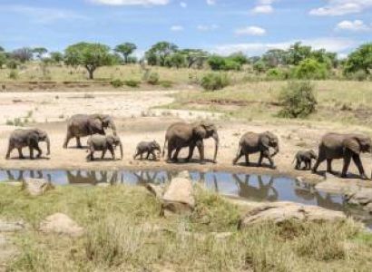 14 Day Gorillas Trekking - Game Drives And Beach Holiday Tour