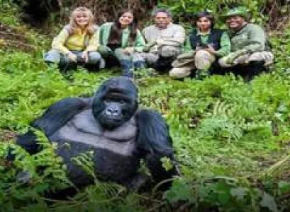 14Day Group Joining Gorillas Trekking Kenya - Tanzania Tour