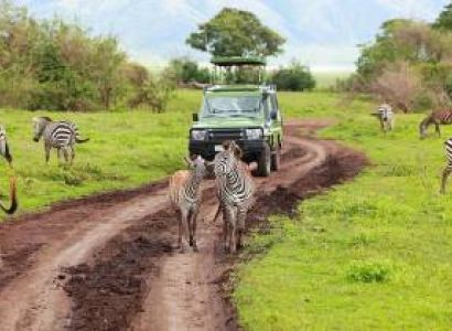 9 Days Unforgettable Tanzania Safaris Tour