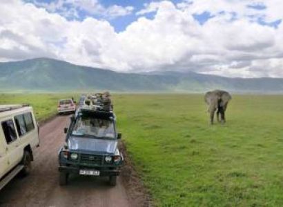 8Days Wildbeast Migration - River Crossing Tour