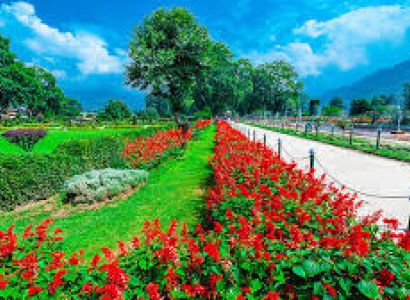Kashmir Serenity Discovering Tranquil Landscapes