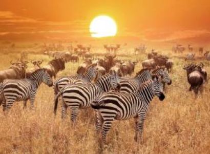 5 Days Classic Safari Tour Package
