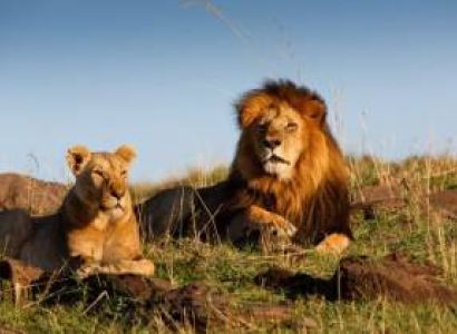7 Days Tanzania - Kenya Safaris Tour