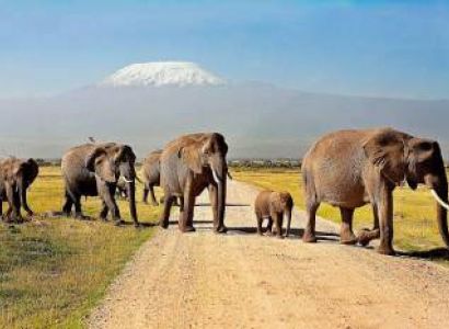 10 Days Kenya - Tanzania Safari Tour