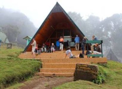 Kilimanjaro Day Hike - Mandara Hut
